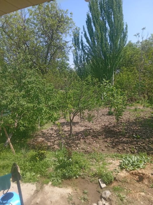 Бустонликда Уй сотилади тог ён багрида жойлашган ёки ерни ярми 110 000