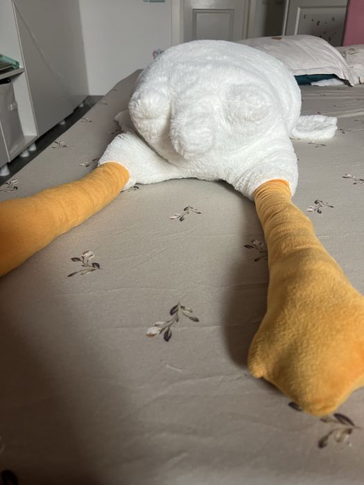 Vand gasca nou de plis foarte mare