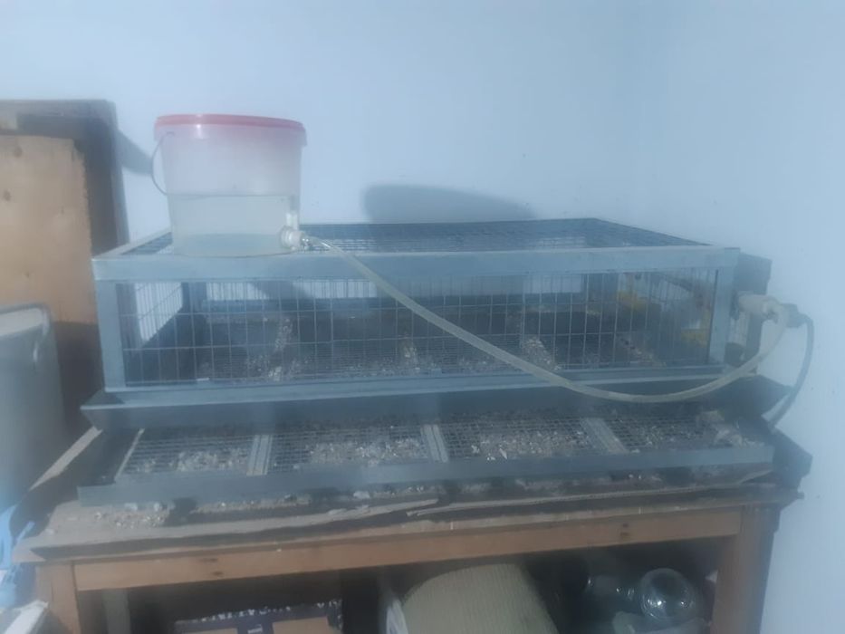 Продам Клетка для перепелков