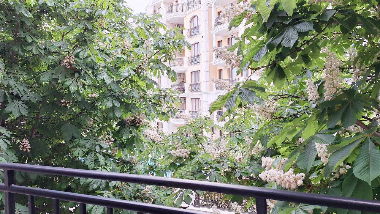 Дава се под наем Двустаен апартамент в к.к. Слънчев бряг - 51 кв.м за 450 € - Снимка #10