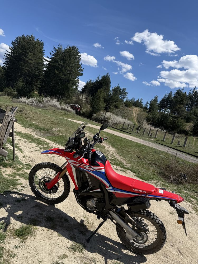 Honda crf 300 rally