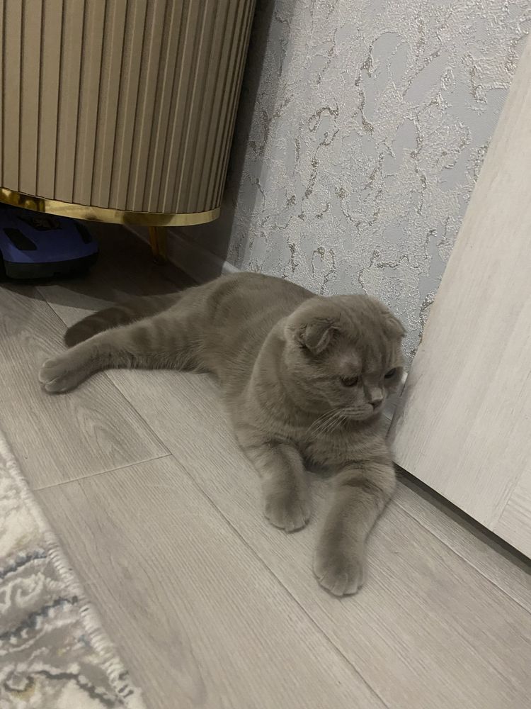 Срочно Скидка вязка