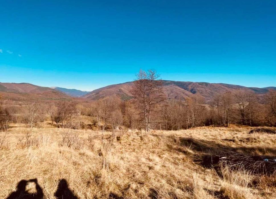 Teren 7.867 mp – Sat Slatina, Comuna Nucșoara | Natură pură, aer curat