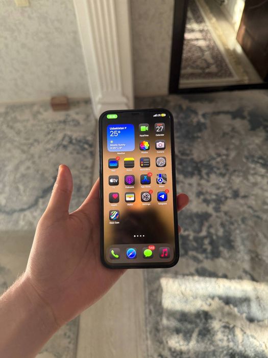 Iphone 12 pro max