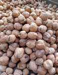 Nucă de vânzare aurie