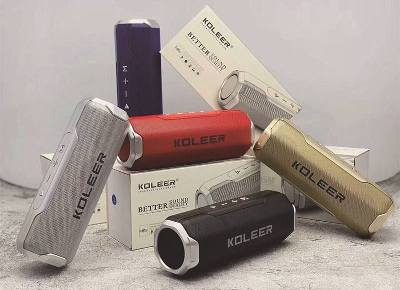 Колонка koleer S218