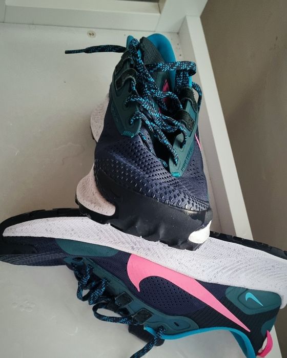 Nike Pegasus trail