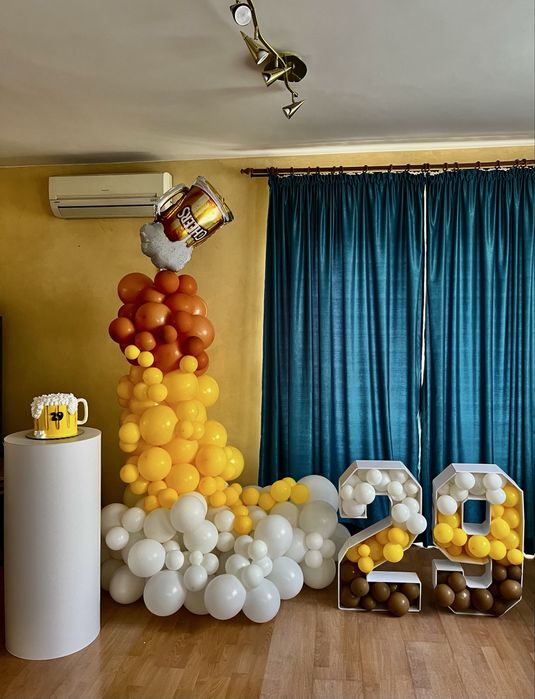 Декорации за област Враца