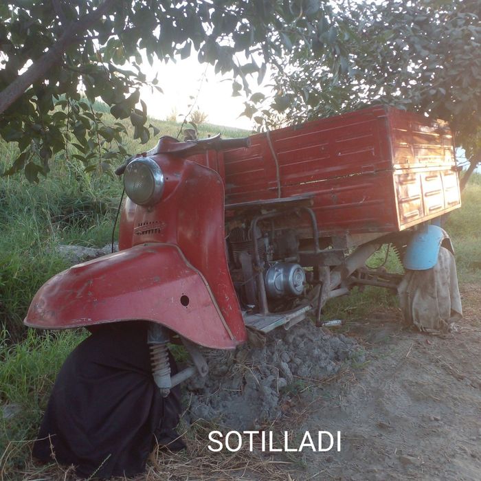 Муравей сотилади.