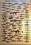 Afis prezentare Arme format mare
