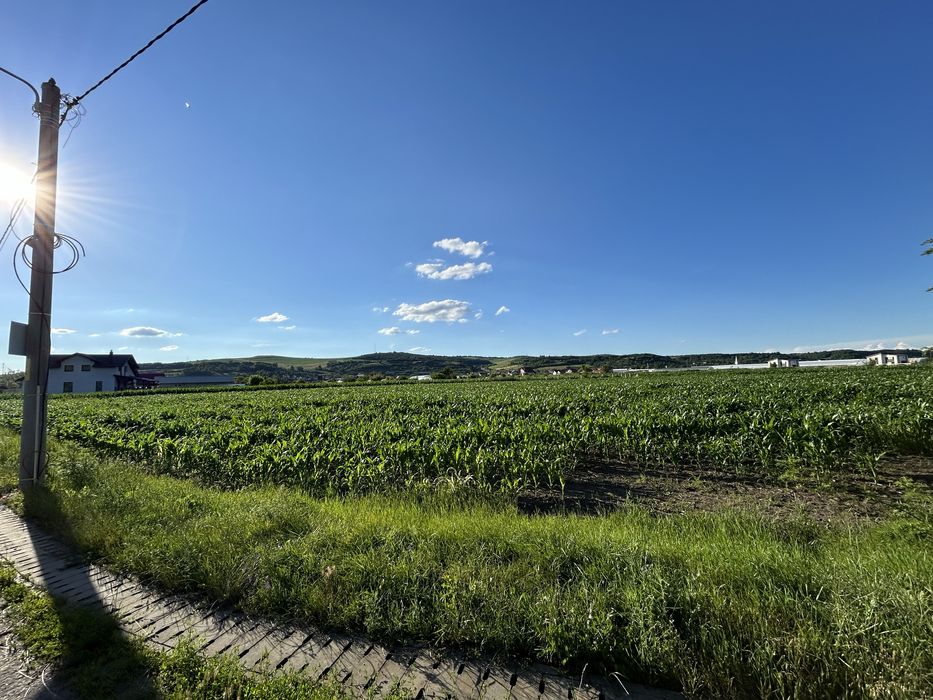 Teren intravilan 4183mp Santana de Mures Str. Pasunii