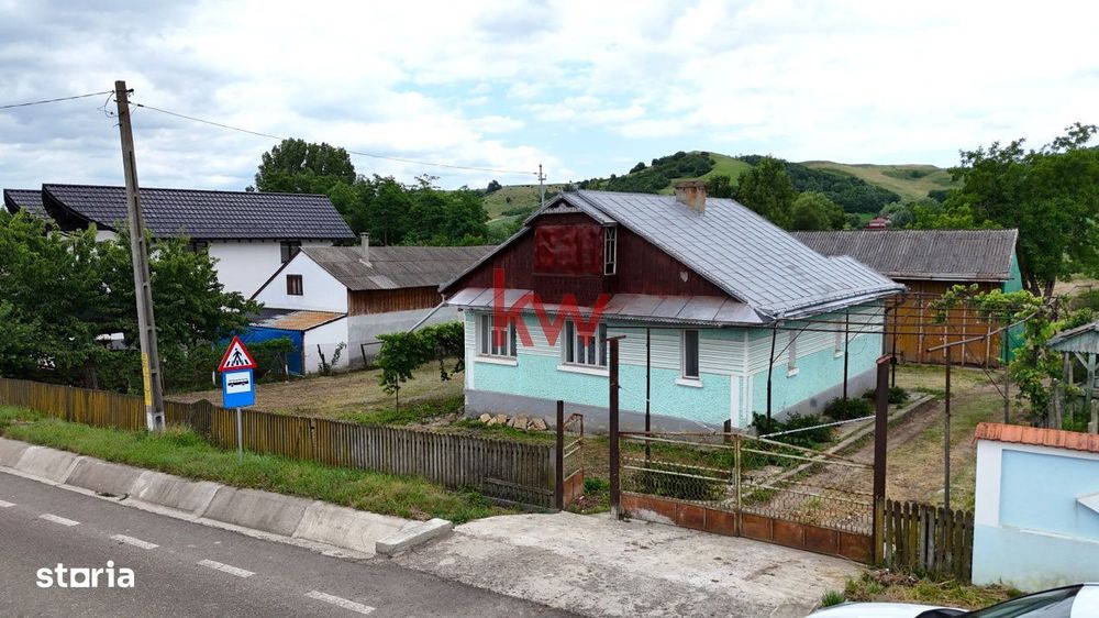 Casa+Teren 1ha - Centru Plesesti, Vulturesti