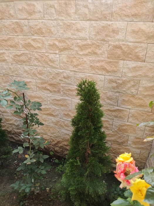 Piatră decorativă Klimex Campana crem