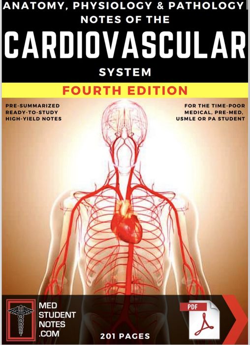 Anatomie, medicina fiziologie, sistem cardiovascular sistem respirator