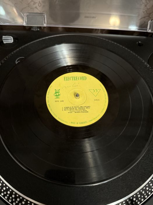 Disc vinil Romica Puceanu