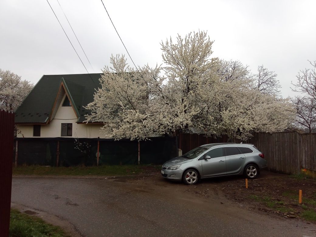 Pregătire Limba Engleză (+Cambridge) 1 oră jumătate = 50 Ron