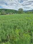 Vind locuri de casă în com Magura ,1600 mp ,intravilan, c f ,asfalt