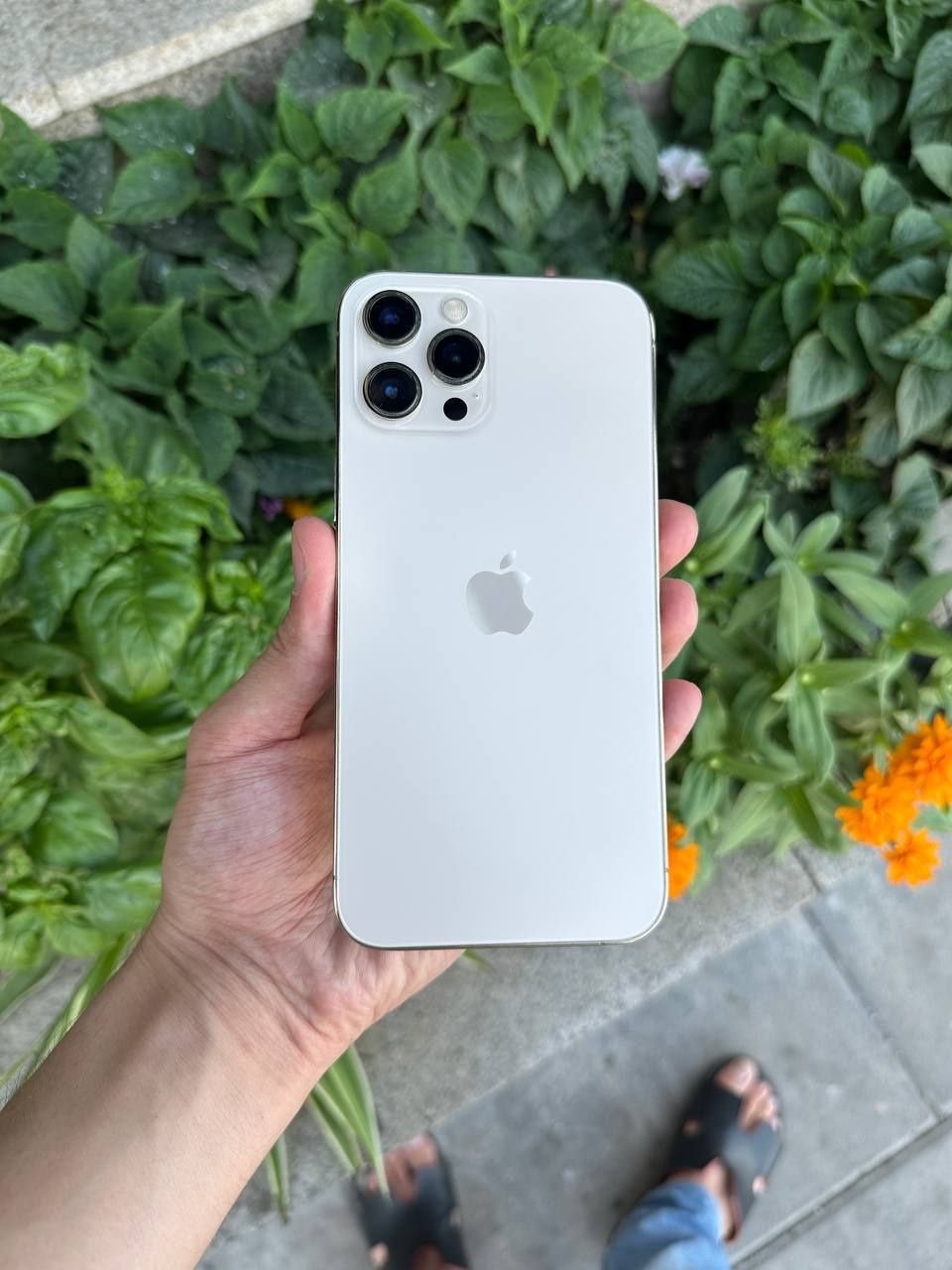 iPhone 12 Pro max bez face holati ideal