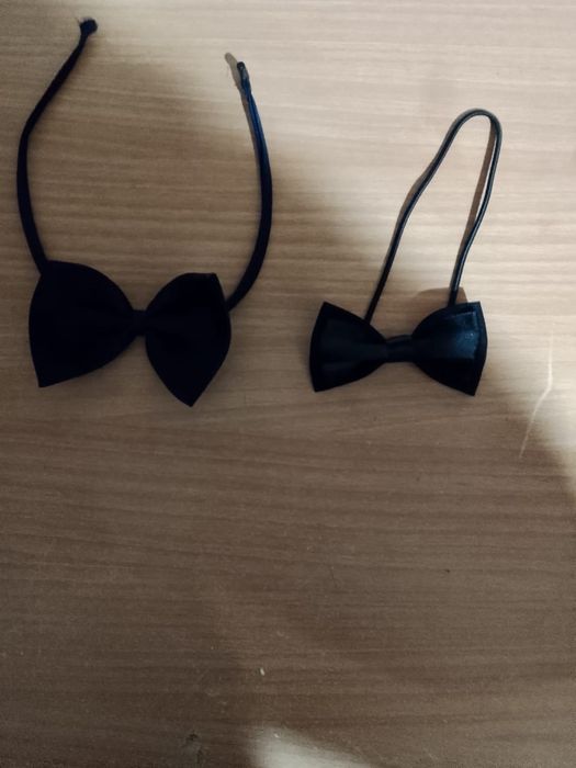 Школьные бабочки