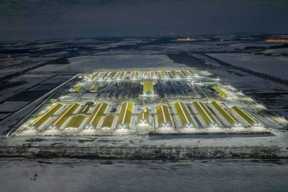 Продаваме акции,за да разрастнем дейноста си,акционерно дружество,ферм