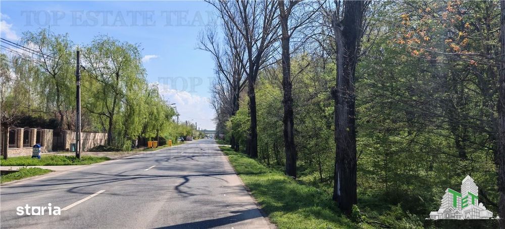 Teren constructii, 650 mp, langa padure, apa, gaze, curent, zona Cioro