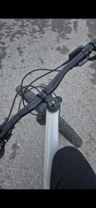 Specialized Rockhopper 2020(California)