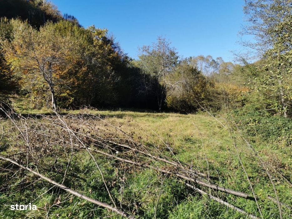 Teren De Vanzare | Zona Pitorească | Brad Hunedoara | Grohot