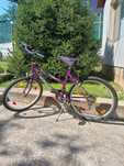 Bicicleta damă Magna Echo Ridge 24"