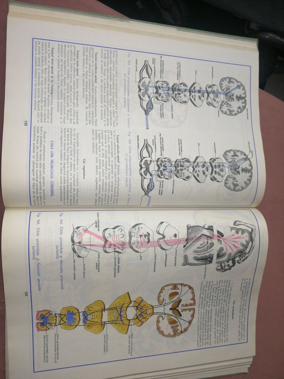 Atlas de anatomie umană vol 3 Sistemul nervos si org de simt
