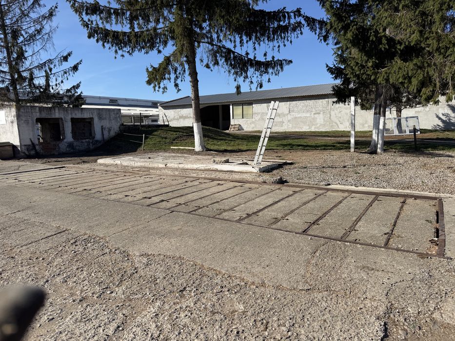 cântar auto de 12 metri – Ozun