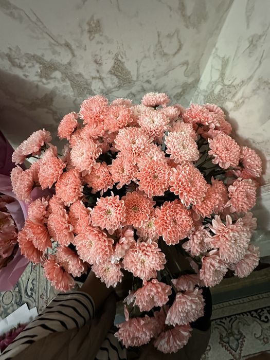 Цветы сегодня ценасы нормально