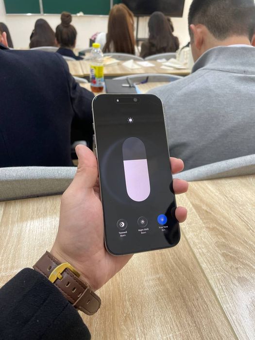 iPhone 16 Pro Max 256Gb