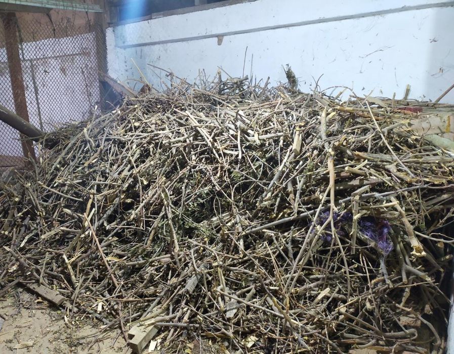 Құрғақ отын сатылады. Жетісайда тұр