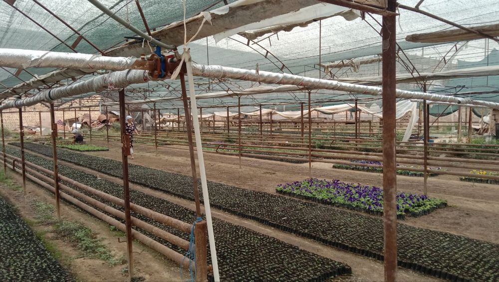 Продается дом Юнусабадский район махалля Хасанбай 2 участок по 8 соток