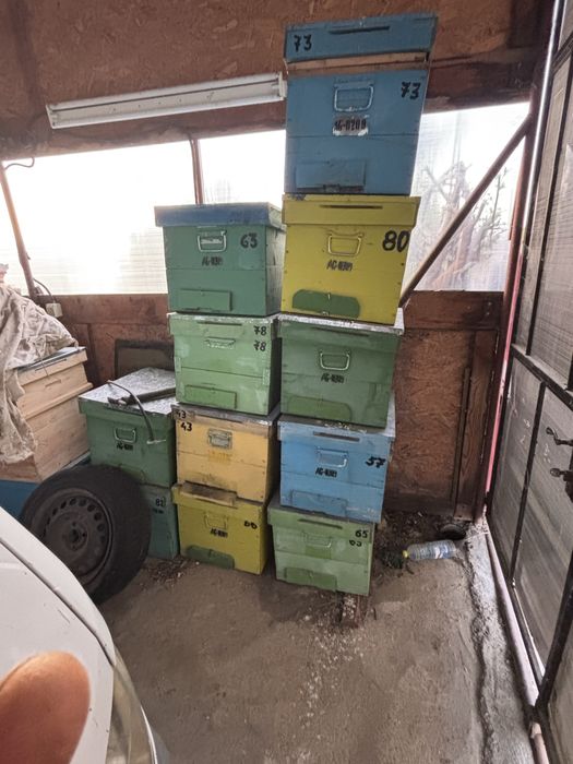 Vand cuti stupi albine