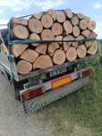 Lemne de foc fag carpan frasan stejar