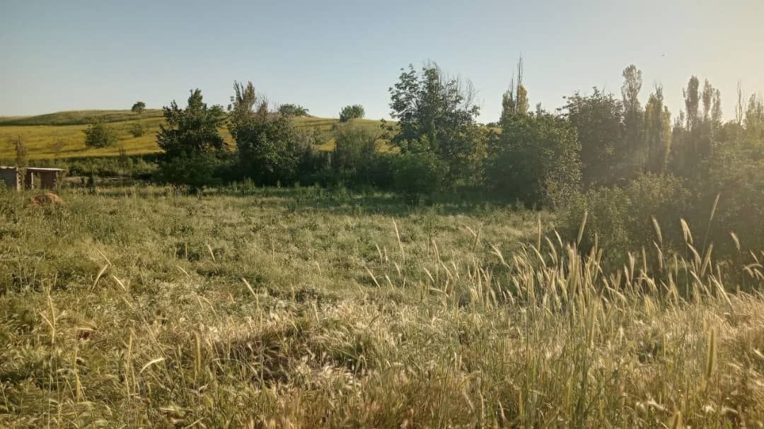Участка сотилади, 12 сотих