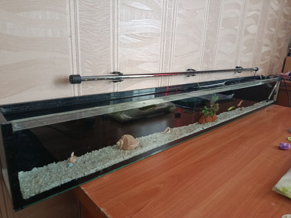 Продается аквариум +2 рыбы