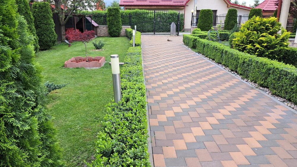 Vând casă + anexă