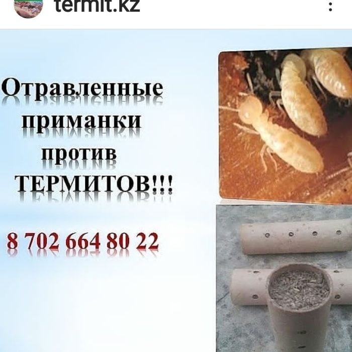 Термит жоятын Антитермит-приманка