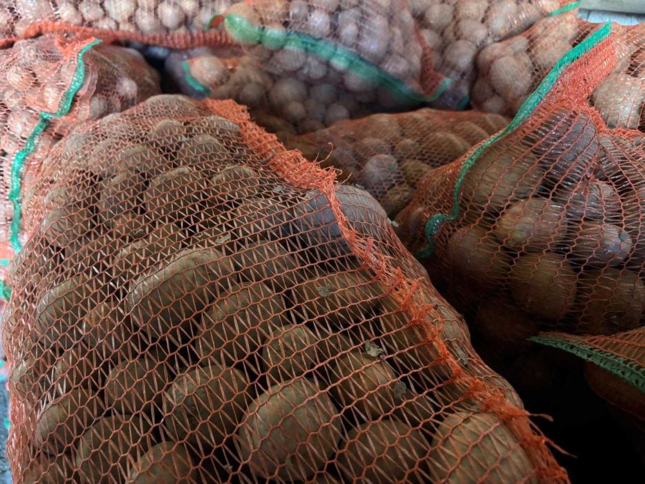 Vand cartofi pentru animale