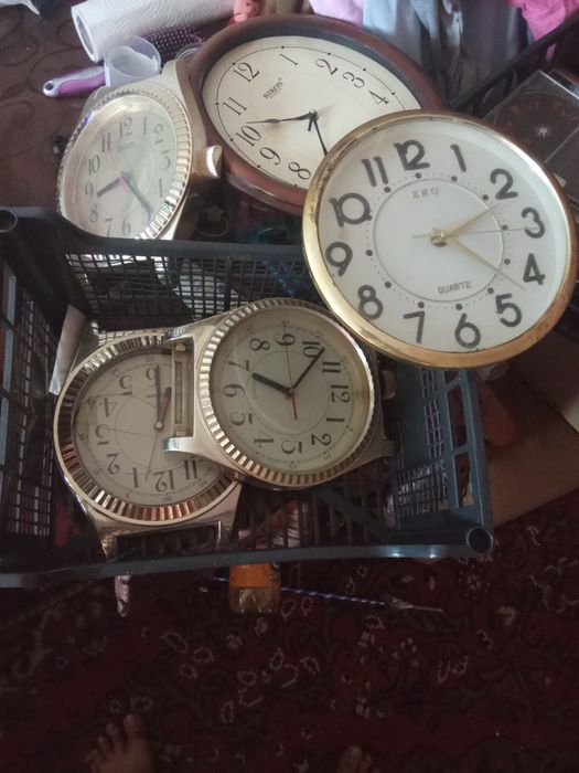 Cras pendula ptr.piese.