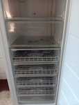 Congelator Arctic