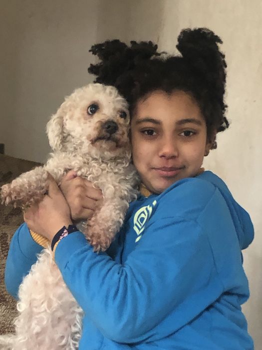 Cazare caini pet sitter