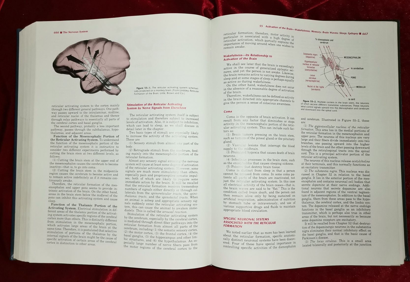 Arthur C. Guyton 1986 Textbook of Medical Physiology