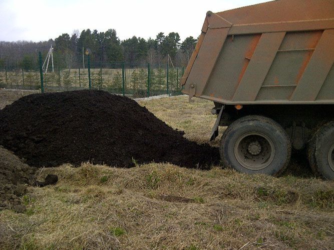 Чернозем, плодородная земля