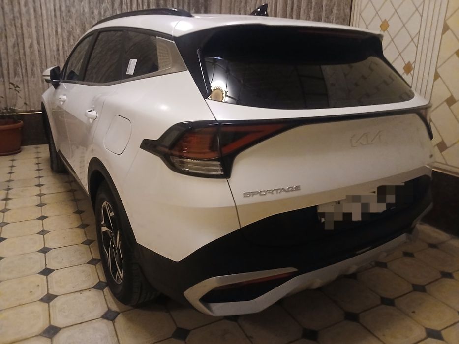 Панорама том, 2024 йилда олинган спортейж