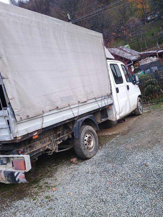 Vând camioneta fiat Ducato sau schimb pe oi