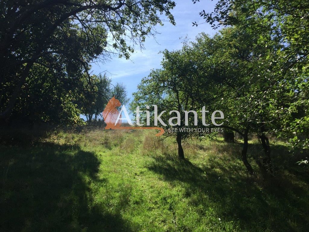 Продава се Парцел в с. Големо Бучино, Област Перник - 3700 кв.м за 13 €/кв.м - Снимка #5