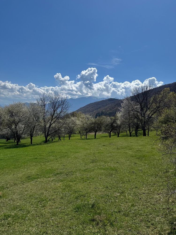 Teren la munte Bran Predelut - Via Transilvanica